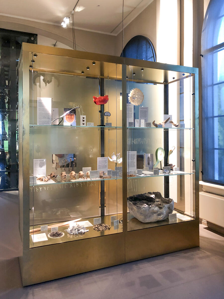 display cases